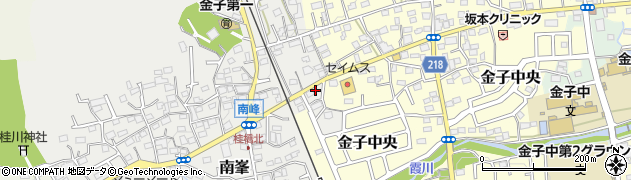 埼玉県入間市南峯105周辺の地図