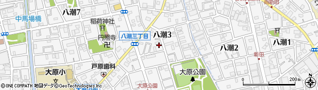 埼玉県八潮市八潮3丁目周辺の地図