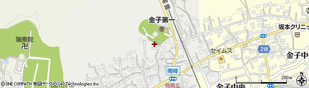 埼玉県入間市南峯57周辺の地図