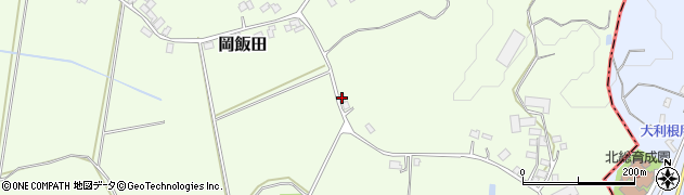 千葉県香取市岡飯田719周辺の地図