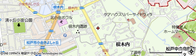 千葉県松戸市根木内206周辺の地図