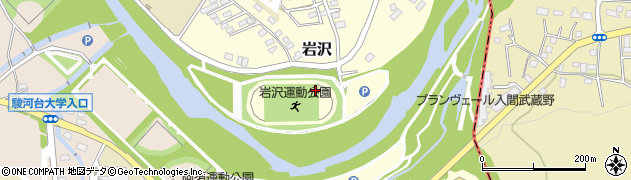 埼玉県飯能市岩沢周辺の地図