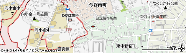 東中新宿第五公園周辺の地図
