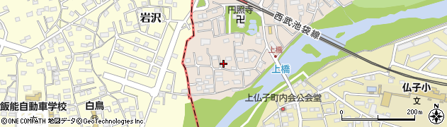 埼玉県入間市野田146周辺の地図
