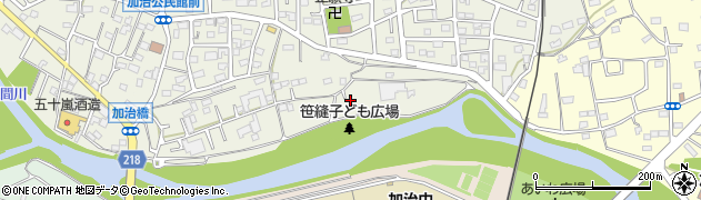 埼玉県飯能市笠縫610周辺の地図
