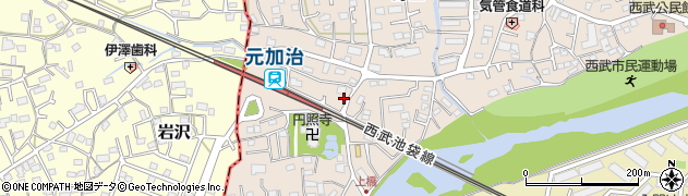 埼玉県入間市野田117周辺の地図