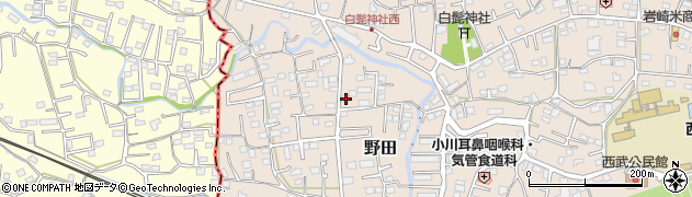 埼玉県入間市野田317周辺の地図