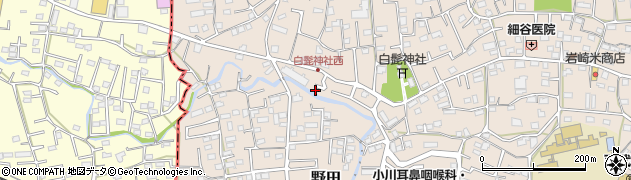 埼玉県入間市野田296周辺の地図