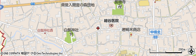 埼玉県入間市野田582周辺の地図