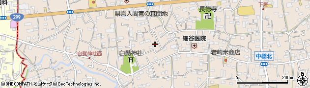 埼玉県入間市野田573周辺の地図