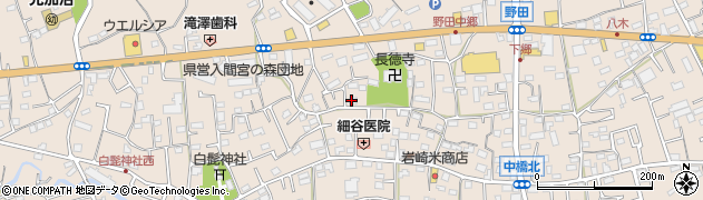 埼玉県入間市野田598周辺の地図