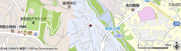 埼玉県飯能市矢颪187周辺の地図