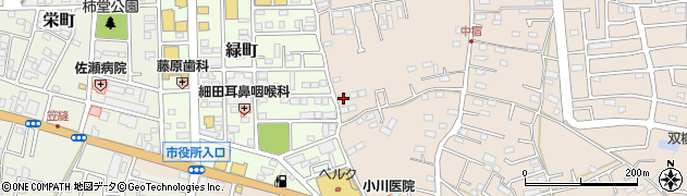 埼玉県飯能市双柳678周辺の地図