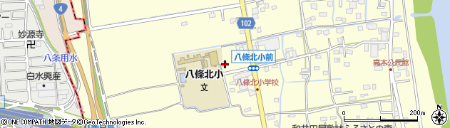 埼玉県八潮市八條1172周辺の地図