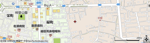 埼玉県飯能市双柳666周辺の地図