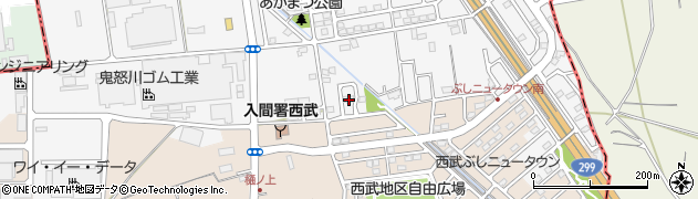 埼玉県入間市新光243周辺の地図