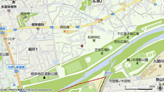 〒350-1319 埼玉県狭山市広瀬の地図