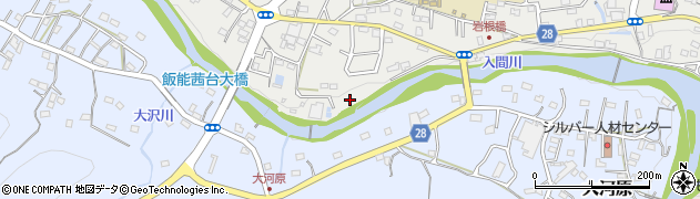 埼玉県飯能市飯能341周辺の地図