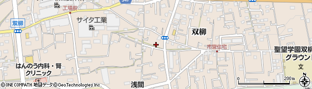埼玉県飯能市双柳1174周辺の地図