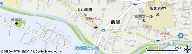埼玉県飯能市飯能540周辺の地図