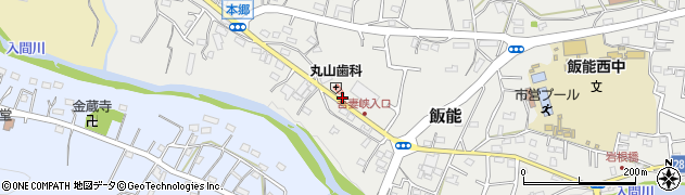埼玉県飯能市飯能538周辺の地図