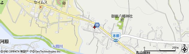 埼玉県飯能市飯能738周辺の地図