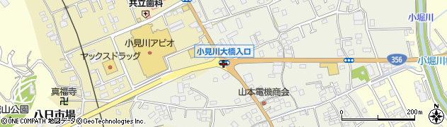 小見川大橋入口周辺の地図
