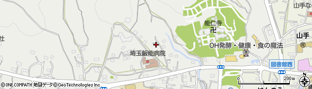 埼玉県飯能市飯能1310周辺の地図