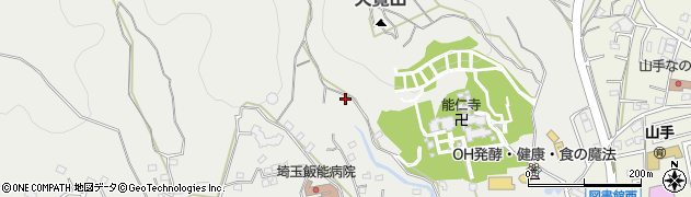 埼玉県飯能市飯能1324-3周辺の地図