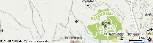 埼玉県飯能市飯能1325-7周辺の地図