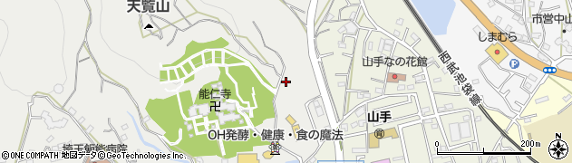 埼玉県飯能市飯能1353周辺の地図