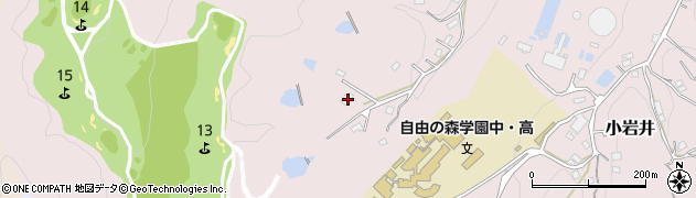 埼玉県飯能市小岩井891周辺の地図