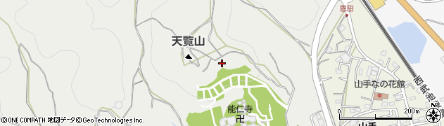 埼玉県飯能市飯能1328周辺の地図