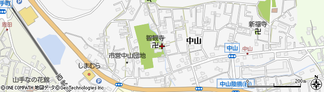 埼玉県飯能市中山周辺の地図