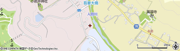 埼玉県飯能市小岩井1周辺の地図