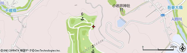 埼玉県飯能市小岩井185周辺の地図