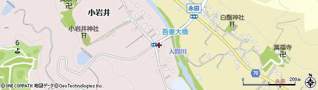 埼玉県飯能市小岩井17周辺の地図