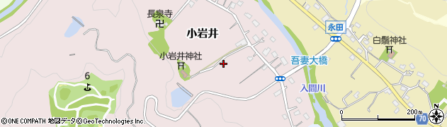 埼玉県飯能市小岩井65周辺の地図