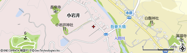 埼玉県飯能市小岩井43周辺の地図