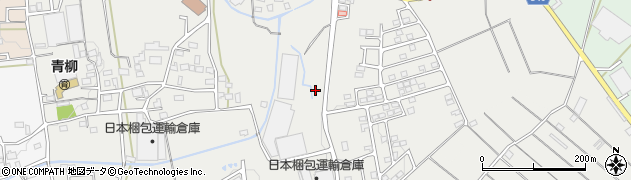 株式会社埼玉成光周辺の地図