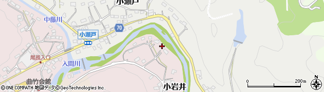 埼玉県飯能市小岩井1059周辺の地図