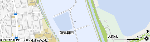 埼玉県さいたま市緑区蓮見新田周辺の地図