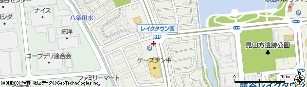 埼玉県越谷市レイクタウン9丁目周辺の地図