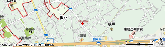沢藤商店周辺の地図