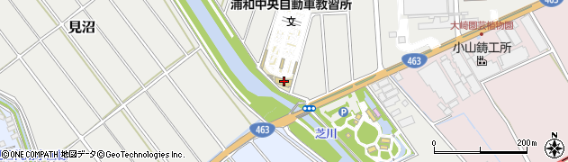 埼玉県さいたま市緑区大崎910周辺の地図