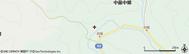 埼玉県飯能市中藤中郷173周辺の地図