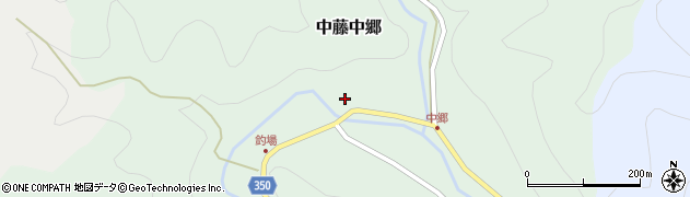 埼玉県飯能市中藤中郷162周辺の地図