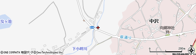埼玉県日高市女影848周辺の地図