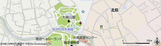 埼玉県さいたま市緑区大崎3294周辺の地図