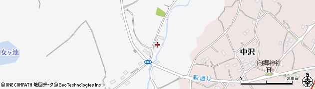 埼玉県日高市女影788周辺の地図